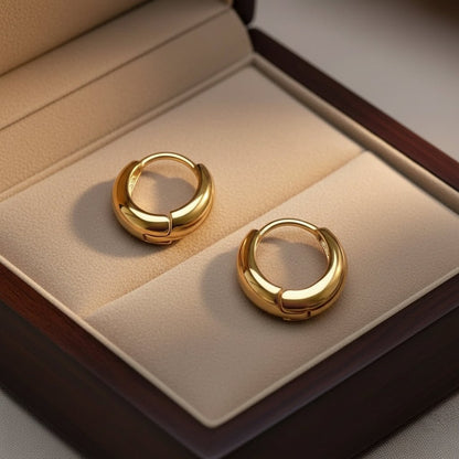 18K Gold Plated Waterproof Hoop Earrings - DressAtR LLC